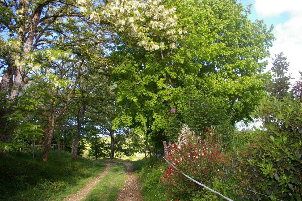 Gite L'Appel De La Foret Betplan Exterior foto
